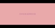 怎样给泰迪狗狗洗澡