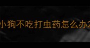 小狗不吃打虫药怎么办