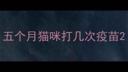 五个月猫咪打几次疫苗