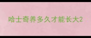 哈士奇养多久才能长大