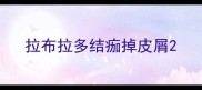 拉布拉多结痂掉皮屑