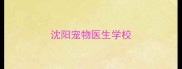 沈阳宠物医生学校