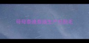 母母泰迪泰迪生产后脱毛