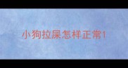 小狗拉屎怎样正常
