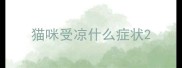 猫咪受凉什么症状