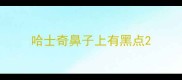 哈士奇鼻子上有黑点
