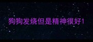 狗狗发烧但是精神很好