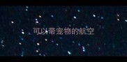 可以带宠物的航空