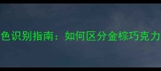正宗拉布拉多犬毛色识别指南如何区分金棕巧克力黑色三种经典色系