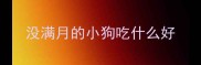 没满月的小狗吃什么好