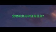 宠物驱虫药和疫苗区别