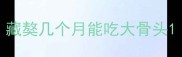 藏獒几个月能吃大骨头