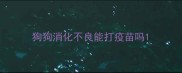 狗狗消化不良能打疫苗吗