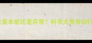 母狗产后掐幼犬是本能还是异常科学犬类育幼行为及应对指南