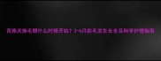 西施犬换毛期什么时候开始3-6月龄毛发生长全及科学护理指南