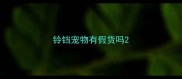 铃铛宠物有假货吗