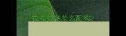 拉布拉多怎么配狗