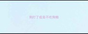 狗打了疫苗不吃狗粮