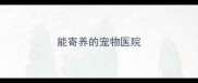能寄养的宠物医院