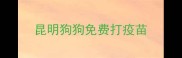 昆明狗狗免费打疫苗
