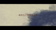 幼犬几个月乳牙长全