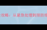 泰迪被狗咬伤全攻略从紧急处理到预防措施保姆级指南