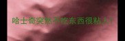 哈士奇突然不吃东西很粘人