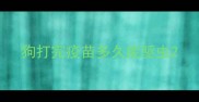 狗打完疫苗多久能驱虫