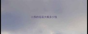 小狗的疫苗大概多少钱