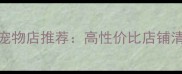 济南经济实惠宠物店推荐高性价比店铺清单及选购指南