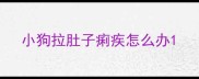 小狗拉肚子痢疾怎么办