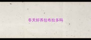 冬天好养拉布拉多吗