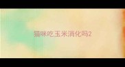 猫咪吃玉米消化吗