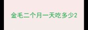 金毛二个月一天吃多少