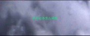 拉布拉多怎么调教