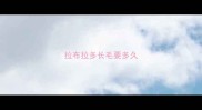 拉布拉多长毛要多久