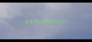 金毛什么都咬怎么办