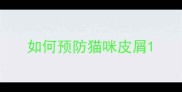 如何预防猫咪皮屑