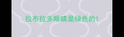 拉布拉多眼睛是绿色的