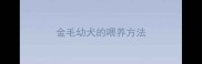 金毛幼犬的喂养方法