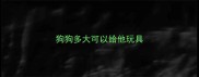 狗狗多大可以给他玩具
