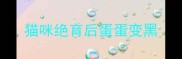 猫咪绝育后蛋蛋变黑