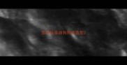 怎样给泰迪狗狗做造型