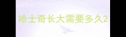 哈士奇长大需要多久