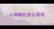小狗呕吐怎么用药