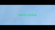家里有小孩养泰迪