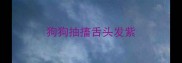 狗狗抽搐舌头发紫