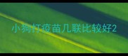 小狗打疫苗几联比较好