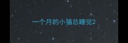 一个月的小猫总睡觉