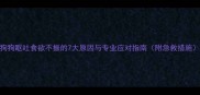 狗狗呕吐食欲不振的7大原因与专业应对指南附急救措施